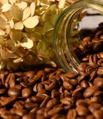 晒干烘干好的咖啡豆唯美高清摄影美图组图6