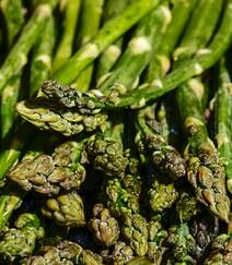 新鲜翠绿的蔬菜芦笋高清摄影图片组图4