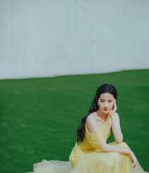 刘亦菲鹅黄色连衣长裙很仙很美草地写真图片组图2