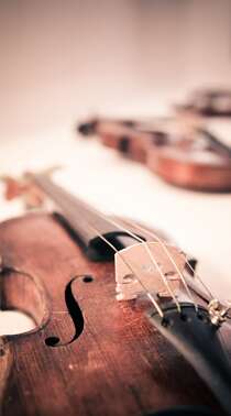 小提琴 大提琴 唯美乐器非主流手机壁纸图片组图1
