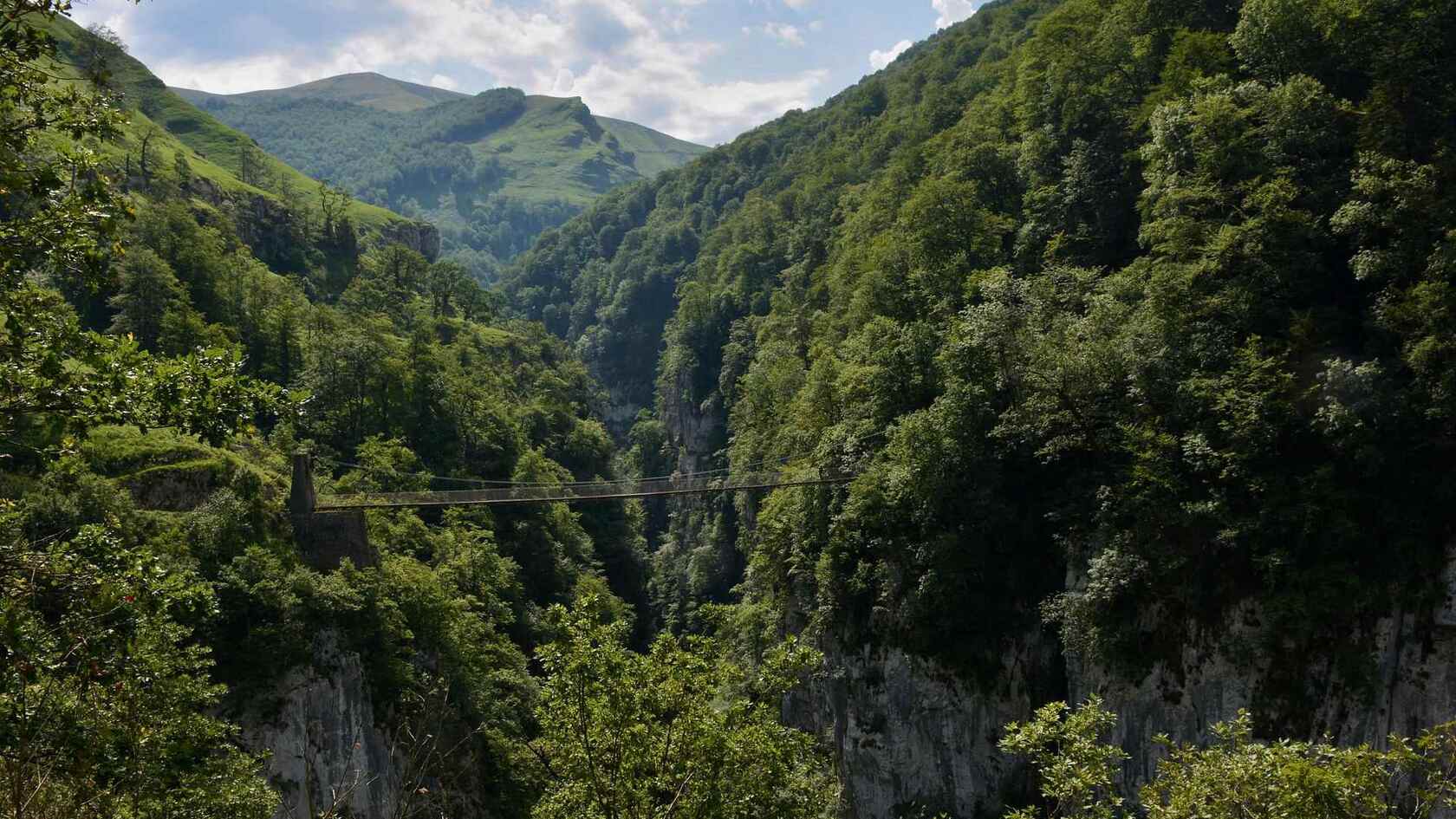 深山丛林中的吊桥唯美大自然风景壁纸图片套图3