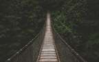 深山丛林中的吊桥唯美大自然风景壁纸图片组图4