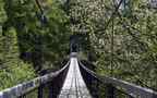 深山丛林中的吊桥唯美大自然风景壁纸图片组图8
