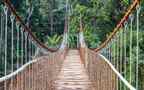 深山丛林中的吊桥唯美大自然风景壁纸图片组图7