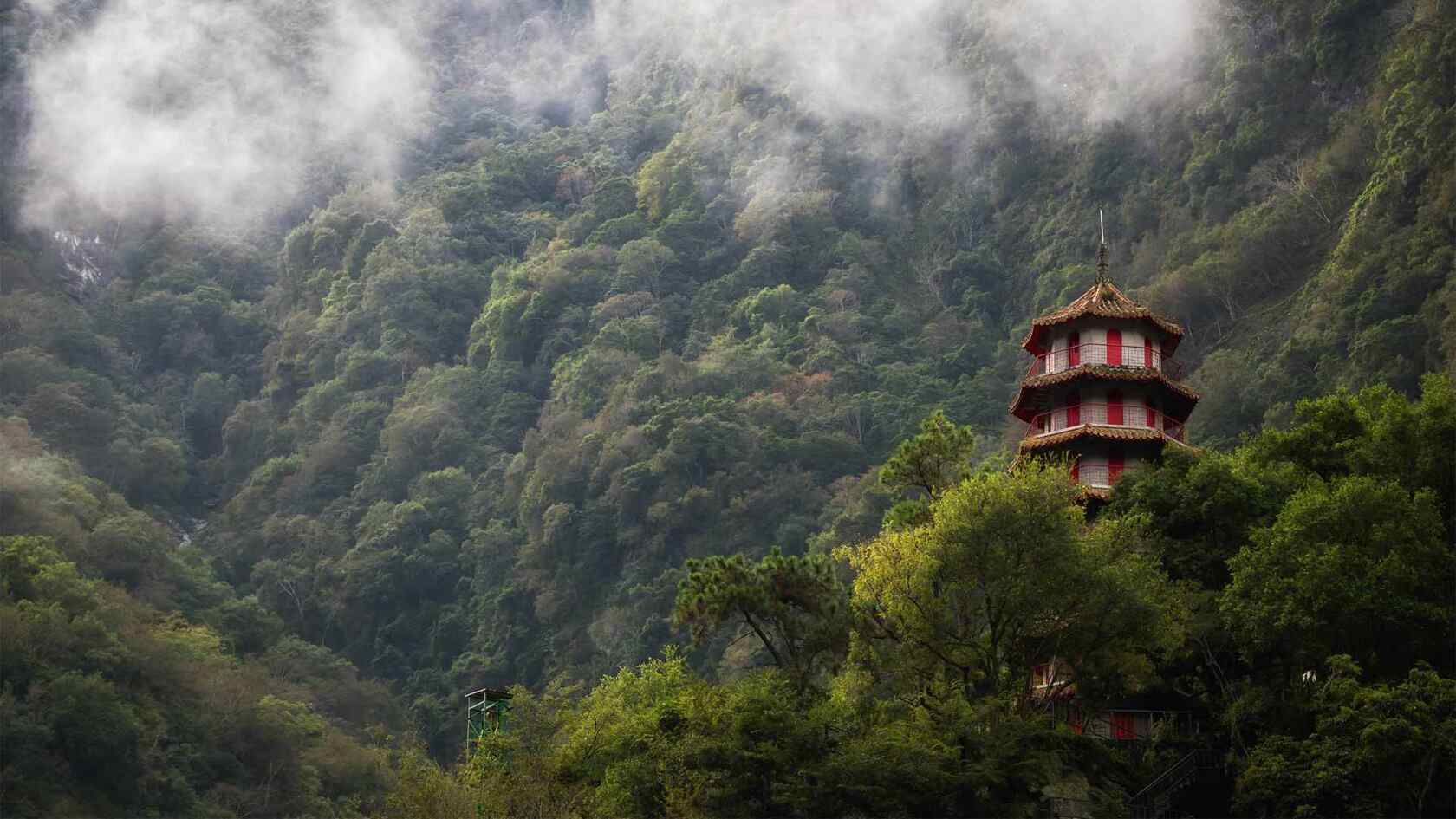 森林图片，不同场景，不同森林唯美高清森系壁纸图片套图5