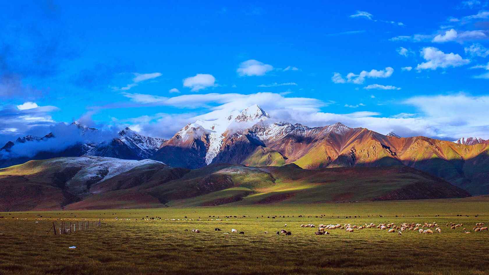 绿草如茵，一望无际的大草原自然风景壁纸图片第3张图片