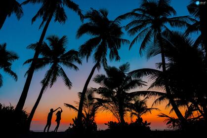 傍晚，夕阳下，一对在海边椰树林下跳舞的浪漫情侣身影唯美桌面壁纸