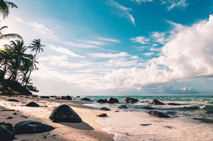 蓝天，白云，海浪，沙滩，礁石，椰树，唯美海边景色壁纸图片