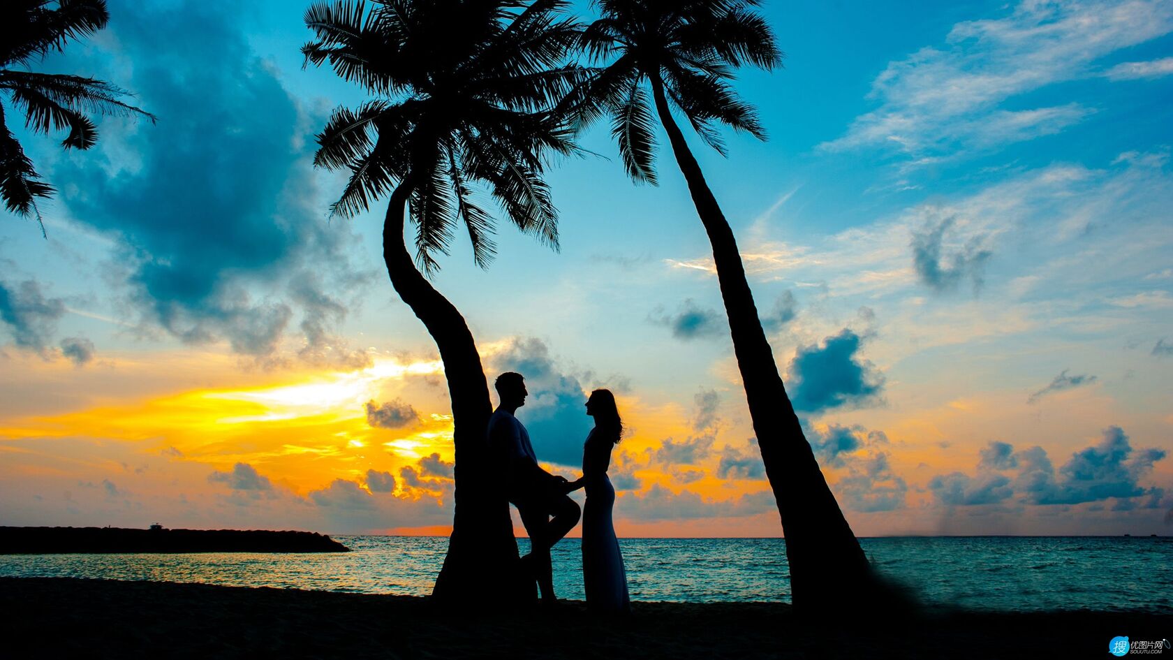 黄昏下的海边椰树林，一对手拿手的恩爱情侣唯美桌面壁纸图片