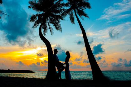 黄昏下的海边椰树林，一对手拿手的恩爱情侣唯美桌面壁纸图片