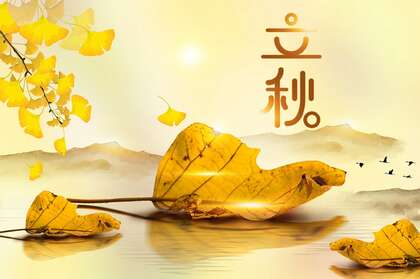 立秋壁纸，以金黄的树叶，落叶为背景的萧瑟立秋节气壁纸图片