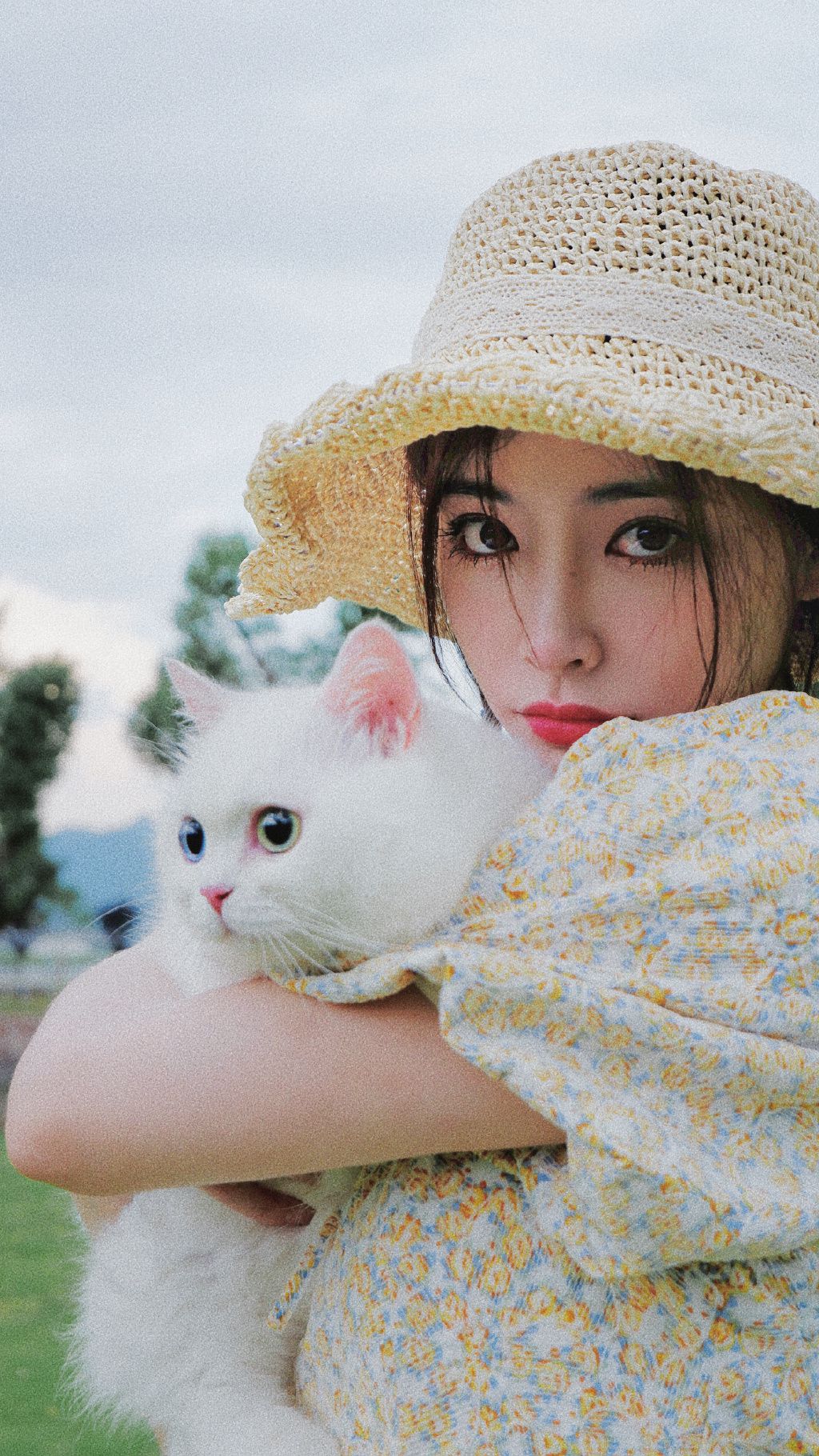 许佳琪头戴草帽，手抱猫咪，身穿小碎花裙户外清新写真图片图片