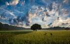 蓝天，白云，草原，田地，村庄，让人一看就心情舒畅的原野风光壁纸图片组图5