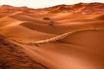 一望无际的沙漠，沙丘，戈壁滩，唯美高清自然风景壁纸图片