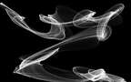 烟 烟雾 袅绕 黑色背景 简约烟雾艺术摄影壁纸图片组图2