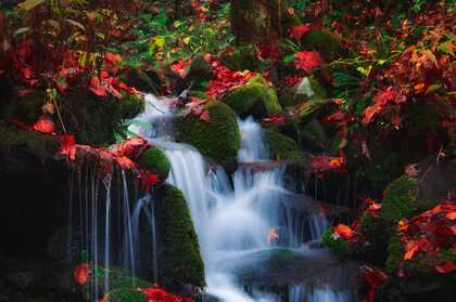 山间溪流，小瀑布，长满青苔的石头，红色的枫树叶唯美山水壁纸图片