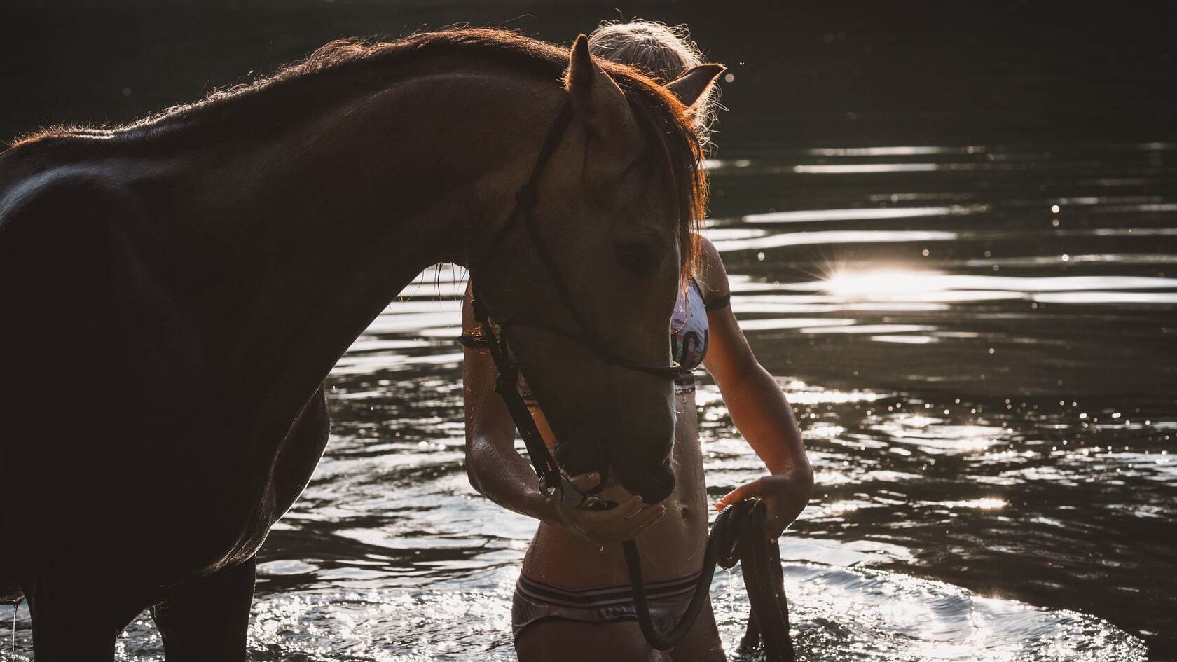 马和女人，在湖中牵着一匹马的比基尼欧美女唯美壁纸图片第1张图片