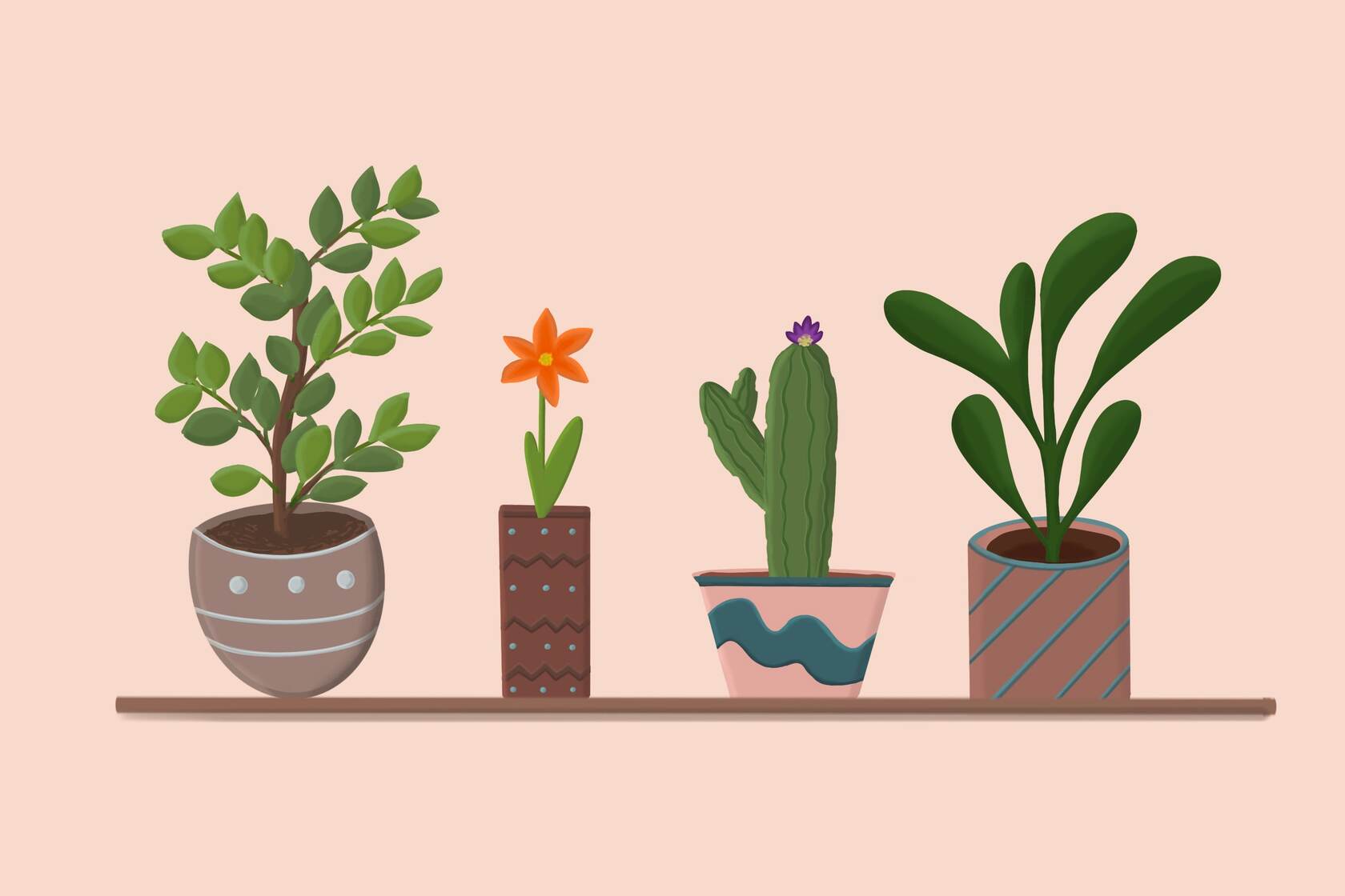 盆栽，植物，居家背景，装饰 简约插画美图壁纸图片