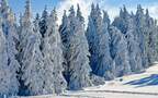 白雪皑皑的极寒天气，雪山，雪林唯美景色壁纸图片组图4