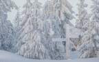 白雪皑皑的极寒天气，雪山，雪林唯美景色壁纸图片组图1