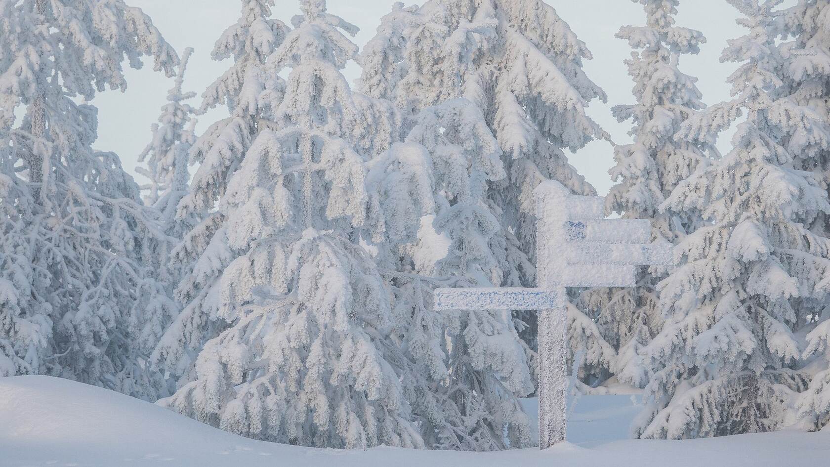 白雪皑皑的极寒天气，雪山，雪林唯美景色壁纸图片套图1