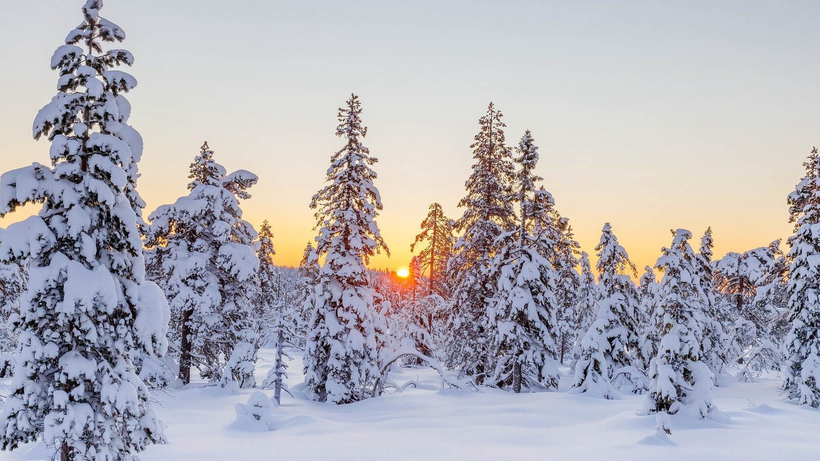 白雪皑皑的极寒天气，雪山，雪林唯美景色壁纸图片套图6