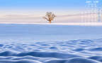 唯美冬日雪景，雪人，北极光 2021年12年日历壁纸图片组图1