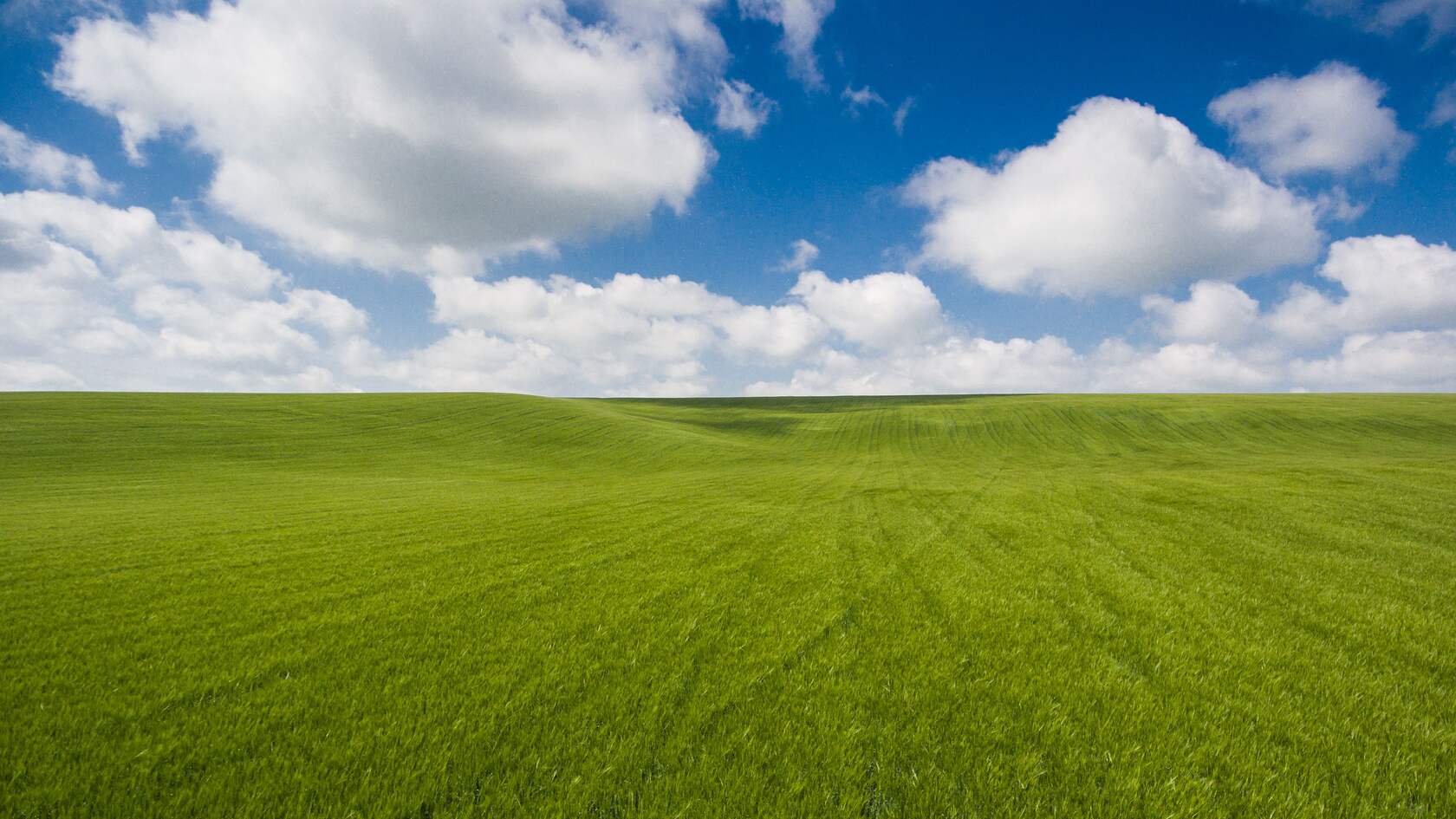 一望无际的草地，蓝天，白云高清壁纸图片第1张图片