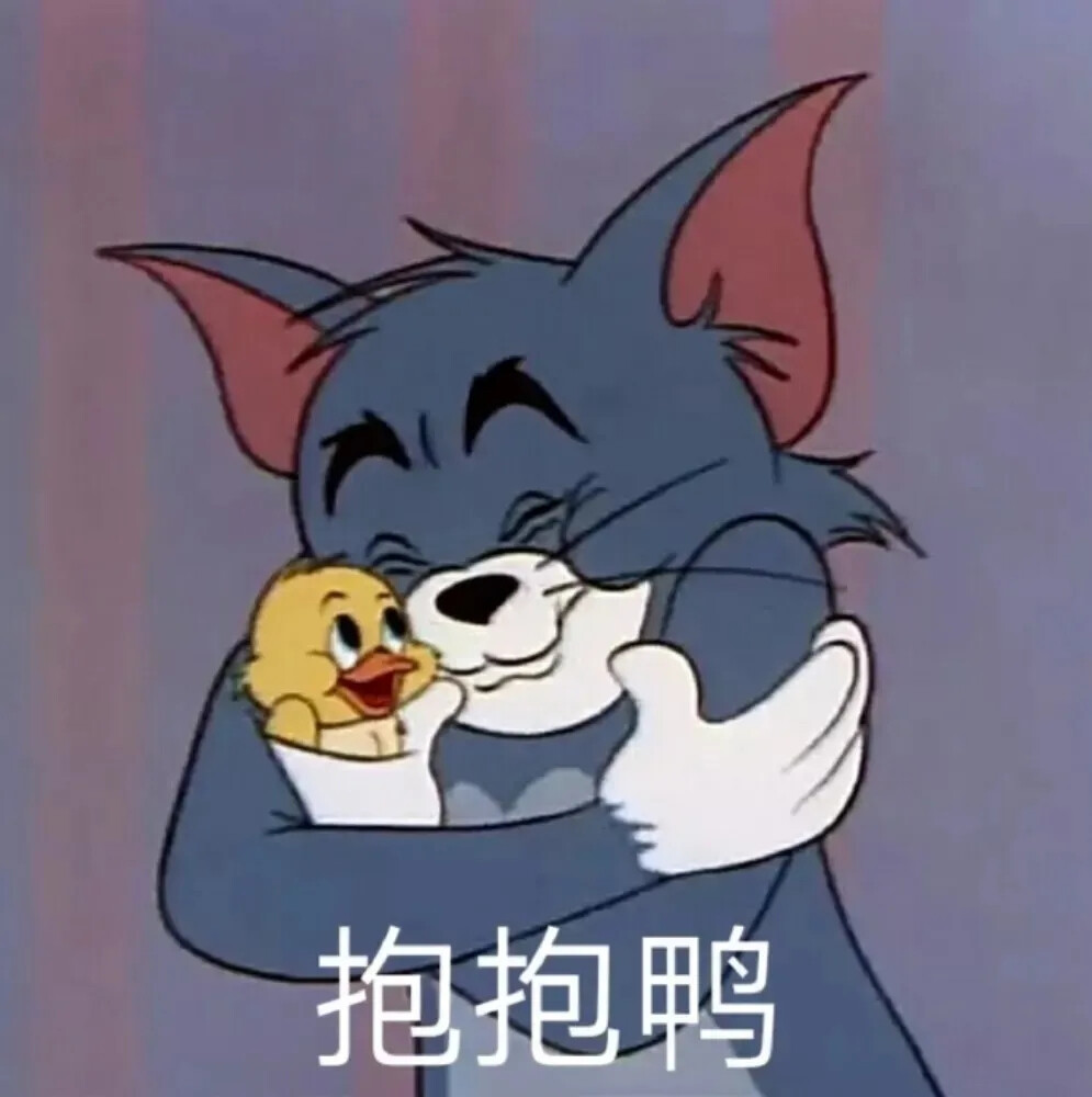 抱着一只可爱小黄鸭的汤姆猫，抱抱鸭搞笑表情文字图片