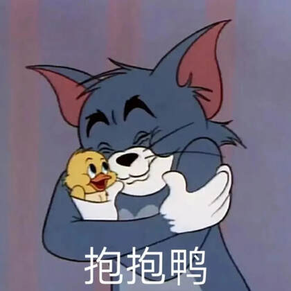 抱着一只可爱小黄鸭的汤姆猫，抱抱鸭搞笑表情文字图片