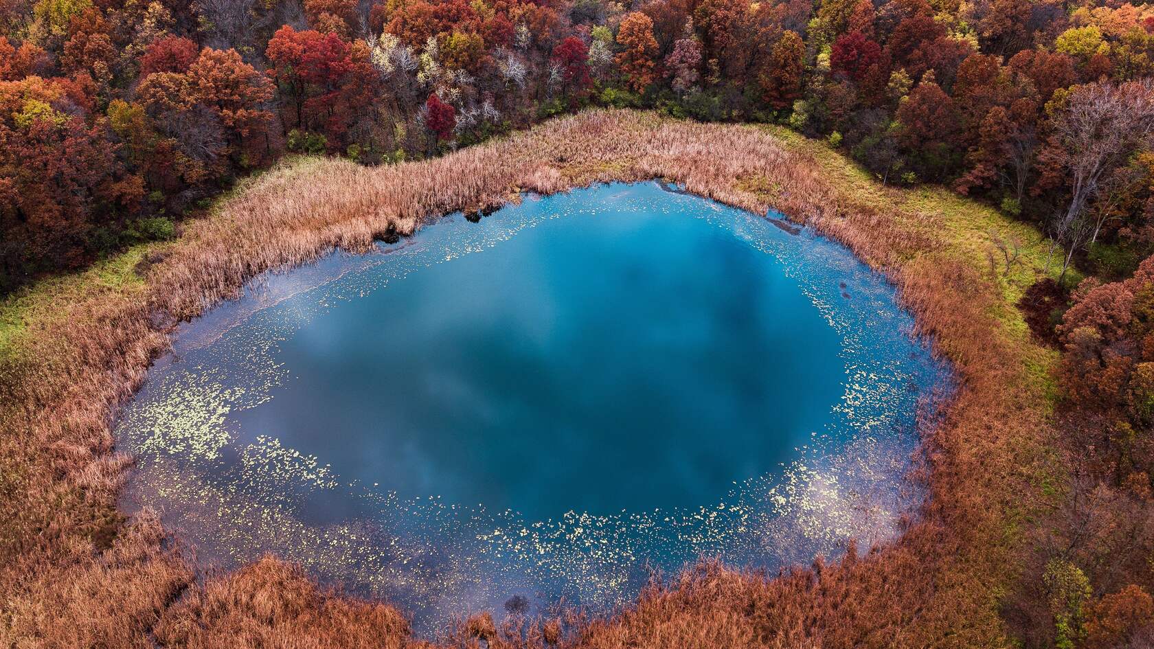 被森林环绕，宛若一口碗的圆形湖面，清澈湖水唯美景色壁纸图片
