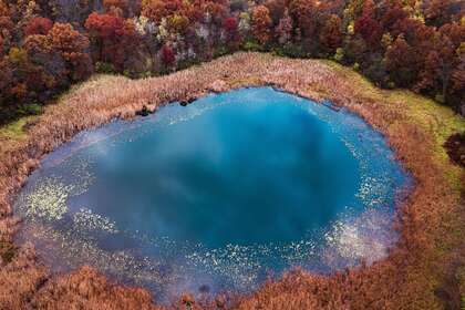被森林环绕，宛若一口碗的圆形湖面，清澈湖水唯美景色壁纸图片