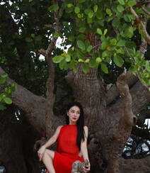 张雨绮连衣红裙着身坐在大树上优雅美丽写真图片组图1