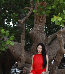 张雨绮连衣红裙着身坐在大树上优雅美丽写真图片组图5