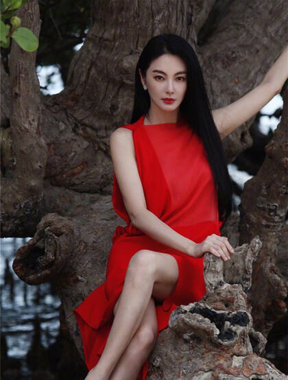 张雨绮连衣红裙着身坐在大树上优雅美丽写真图片