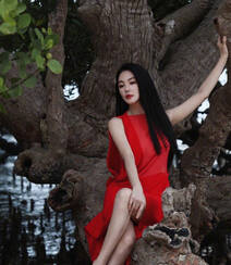 张雨绮连衣红裙着身坐在大树上优雅美丽写真图片组图7