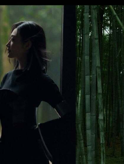 许凯，景甜演绎江湖武侠风写真大片，一对竹林里的逍遥伴侣