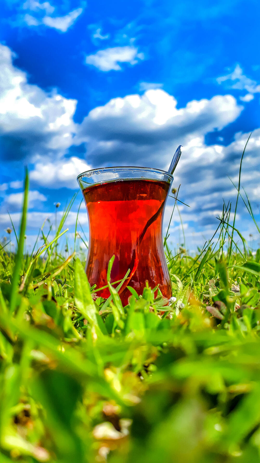 蔚蓝，天空，白云朵朵，绿草地上，玻璃杯里的红色饮料 唯美户外风景手机壁纸