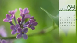 2013年6月日历背景精选组图（20张）