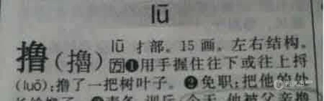 撸的真正解释