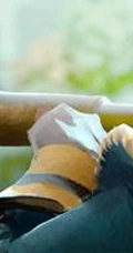 完美时空代理新游《DotA2》高清组图