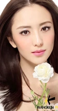 清冷脱俗_佟丽娅&mdash;&mdash;唯美图片（9P）