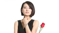 高圆圆-如玫瑰一般的女人