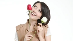 高圆圆-如玫瑰一般的女人