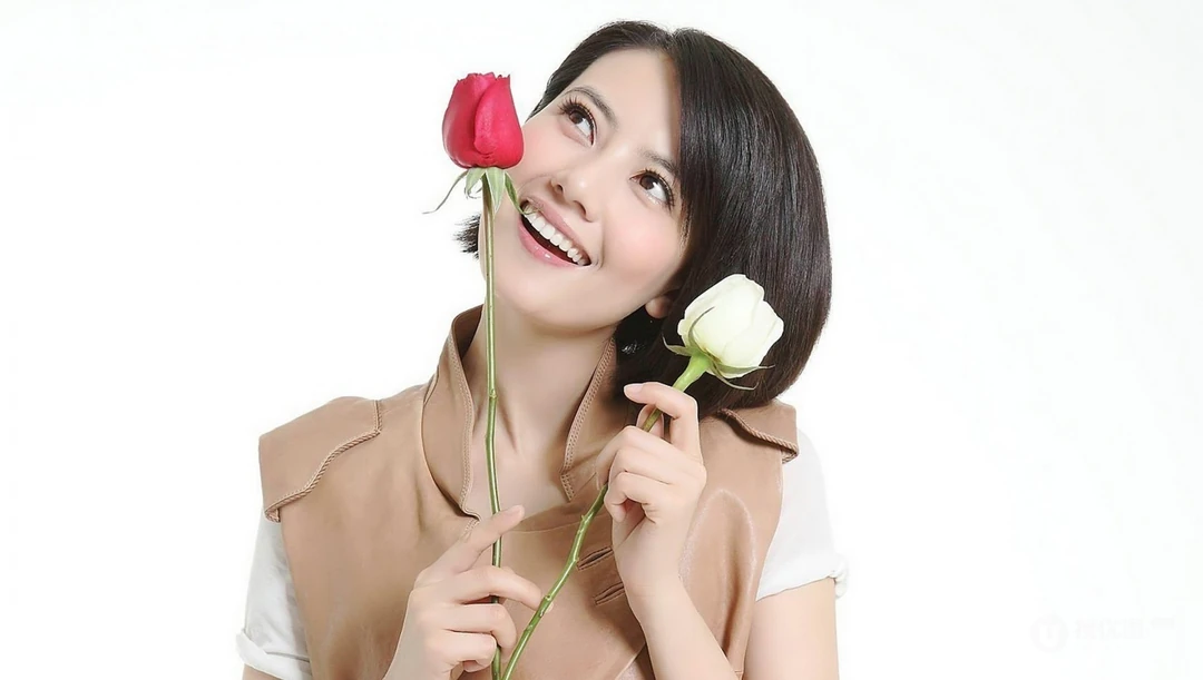 高圆圆-如玫瑰一般的女人