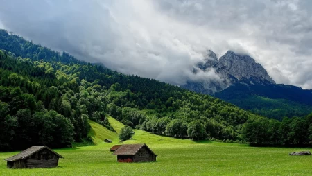 草原白雾风景