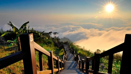 木栈道旅游风景高清系列六