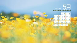 2013年5月日历背景精选组图