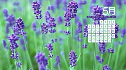 2013年5月日历背景精选组图