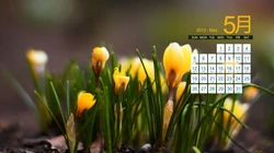 2013年5月日历背景精选组图
